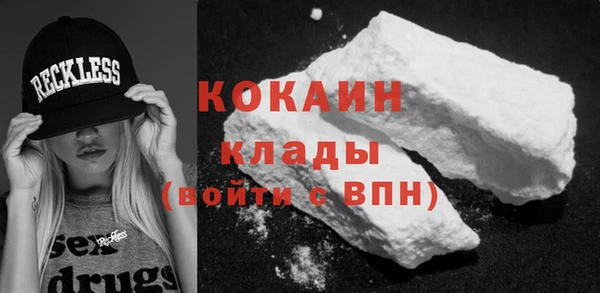 хмурый Алзамай
