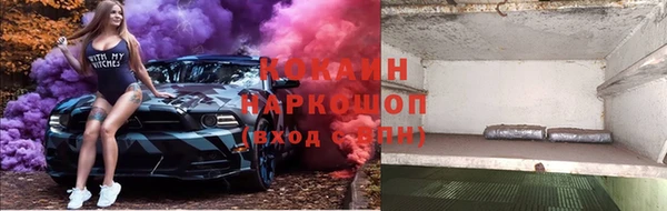 хмурый Алзамай