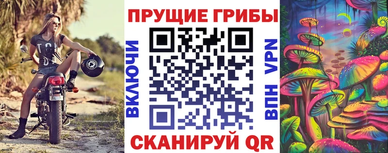 закладка  Димитровград  hydra зеркало  Галлюциногенные грибы мухоморы 